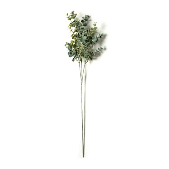 Eucalyptus Stem by Ashland®